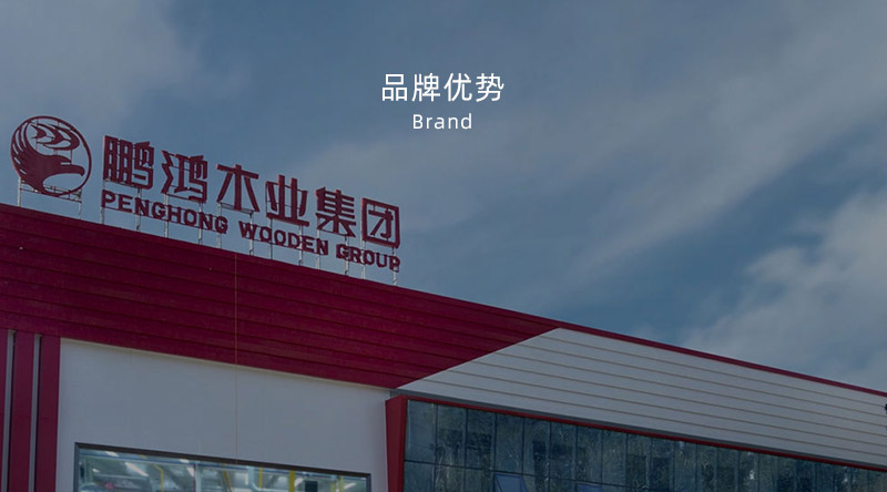 板材品牌、全屋定制品牌、生態(tài)板十大品牌