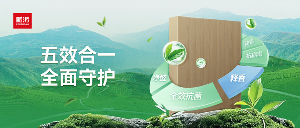 鵬鴻茶香板五效合一